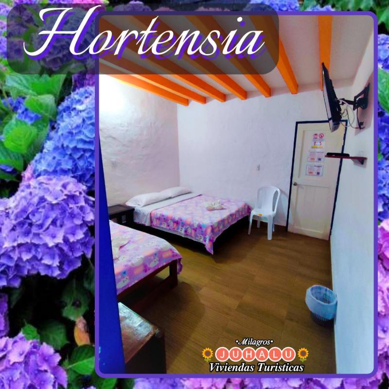 ᒍᑌᕼᗩᒪᑌ Hotel Jericoc  Cameră foto