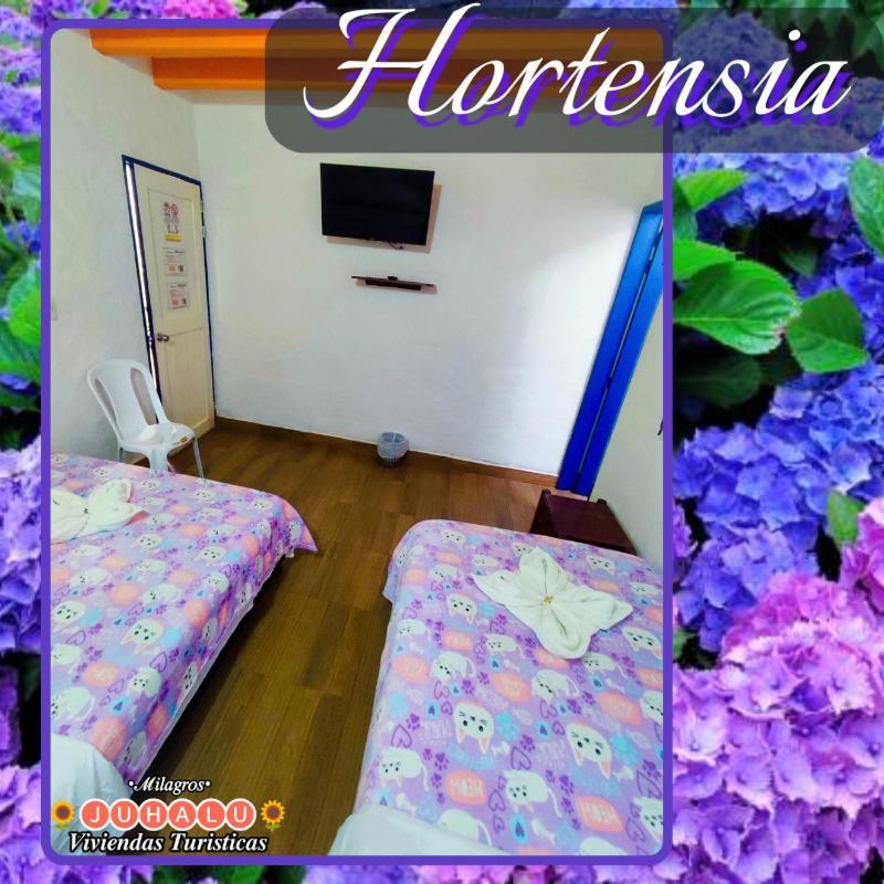 ᒍᑌᕼᗩᒪᑌ Hotel Jericoc  Cameră foto